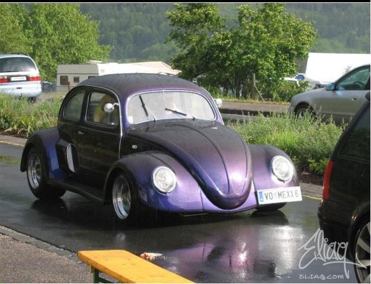 VW Kafer - Mexx