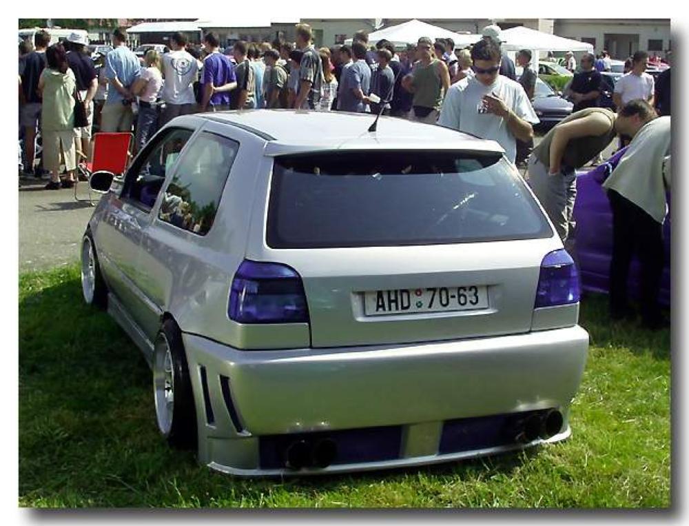 Tuning Pavov 2002
