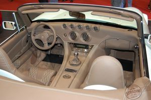 Autosalón Ženeva 2009 - foto 171