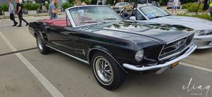 20250801 Fridays Us And Oldtimer Cars Meeting