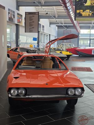 Ferruccio Lamborghini Museum - foto 84