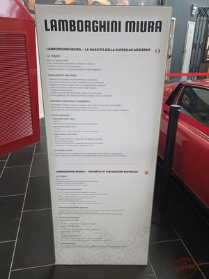 Ferruccio Lamborghini Museum - foto 91