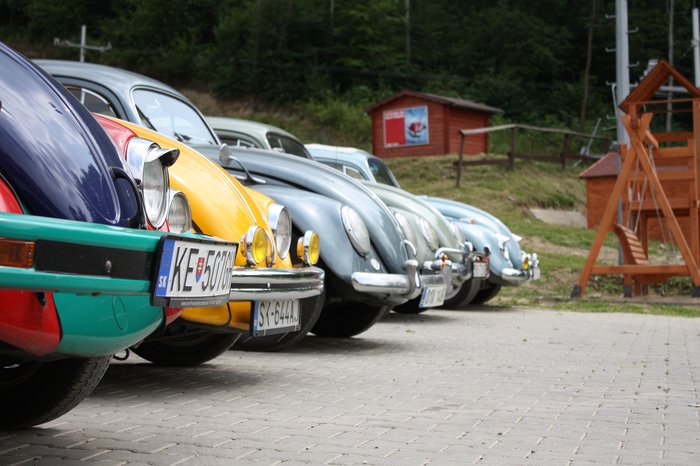 VW Aircooled LD 2009