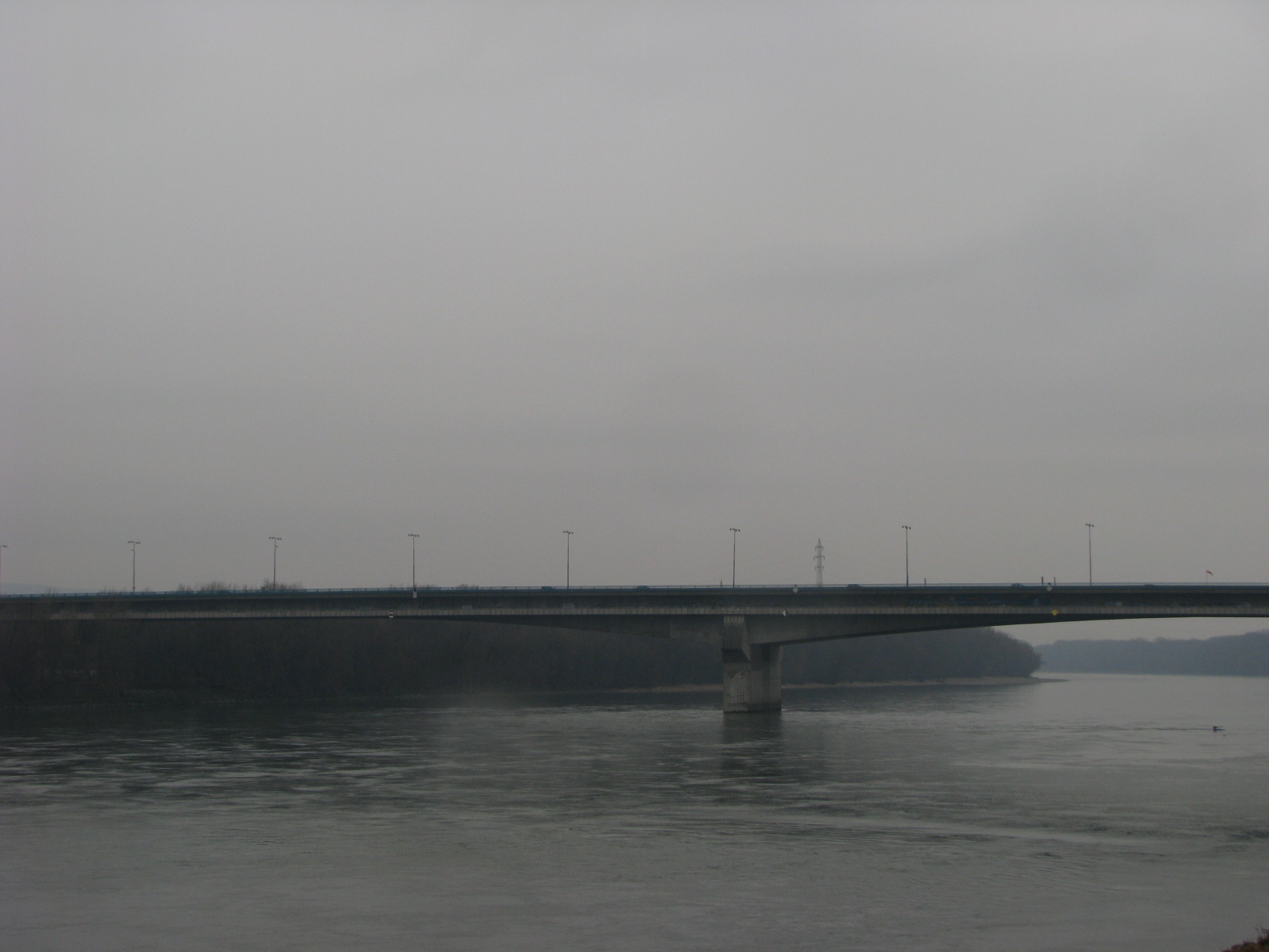 20131231 Silvestrovsky Beh - foto 30