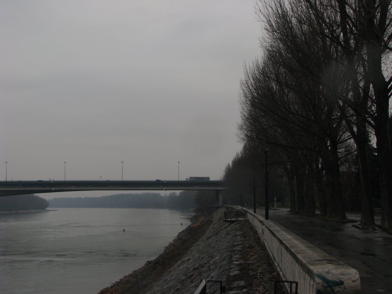 20131231 Silvestrovsky Beh - foto 34