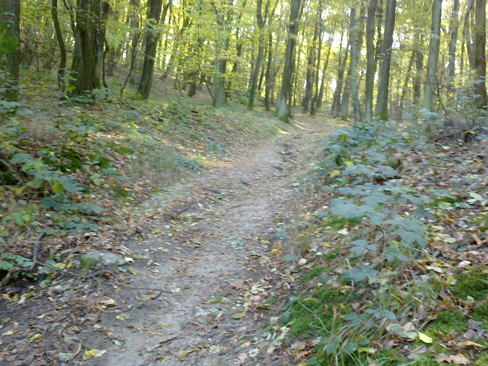 20151024 Presporsky Ultra - foto 4