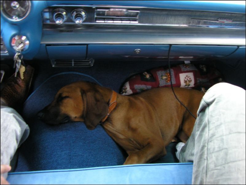 2006 American Classic Raley - foto 53