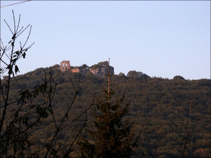 2006 Borinka - foto 10