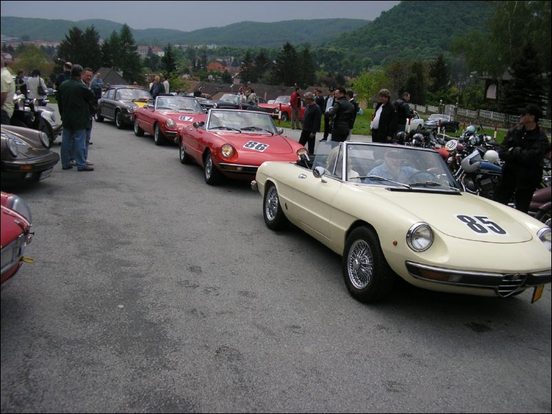2006 Hainburg - foto 10