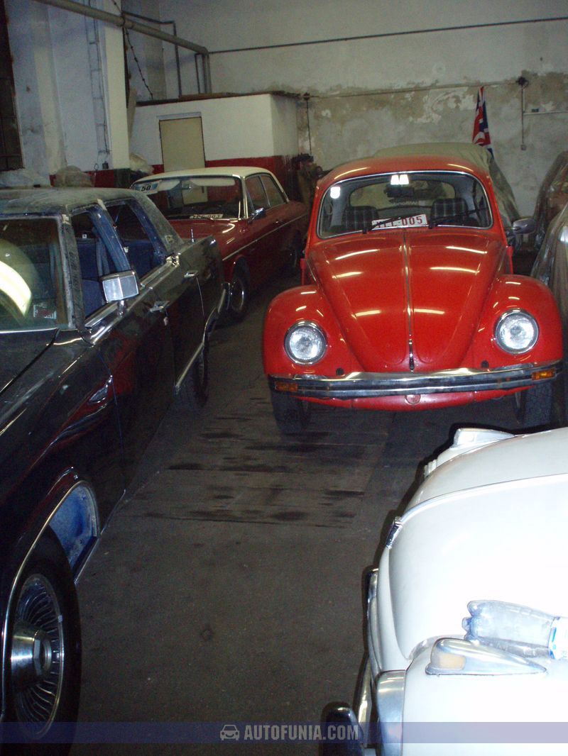 2006 Leto Ycc Club - foto 15