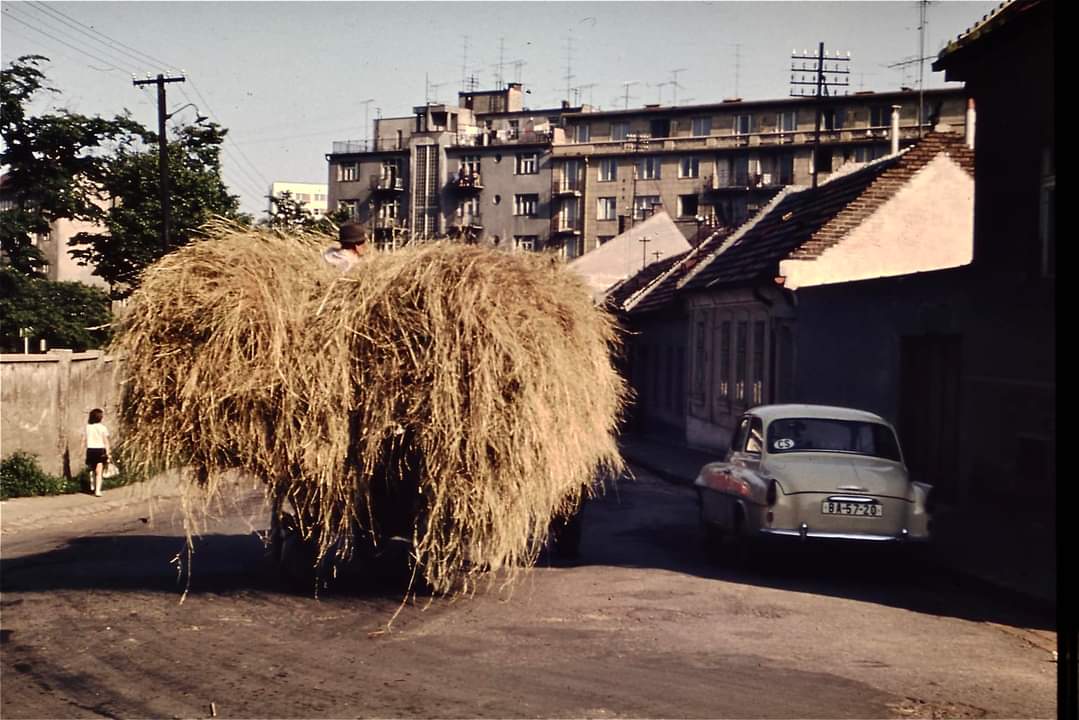 Stará Bratislava, Skoda oktavia smrecianska, auto so značkou BA-57-20